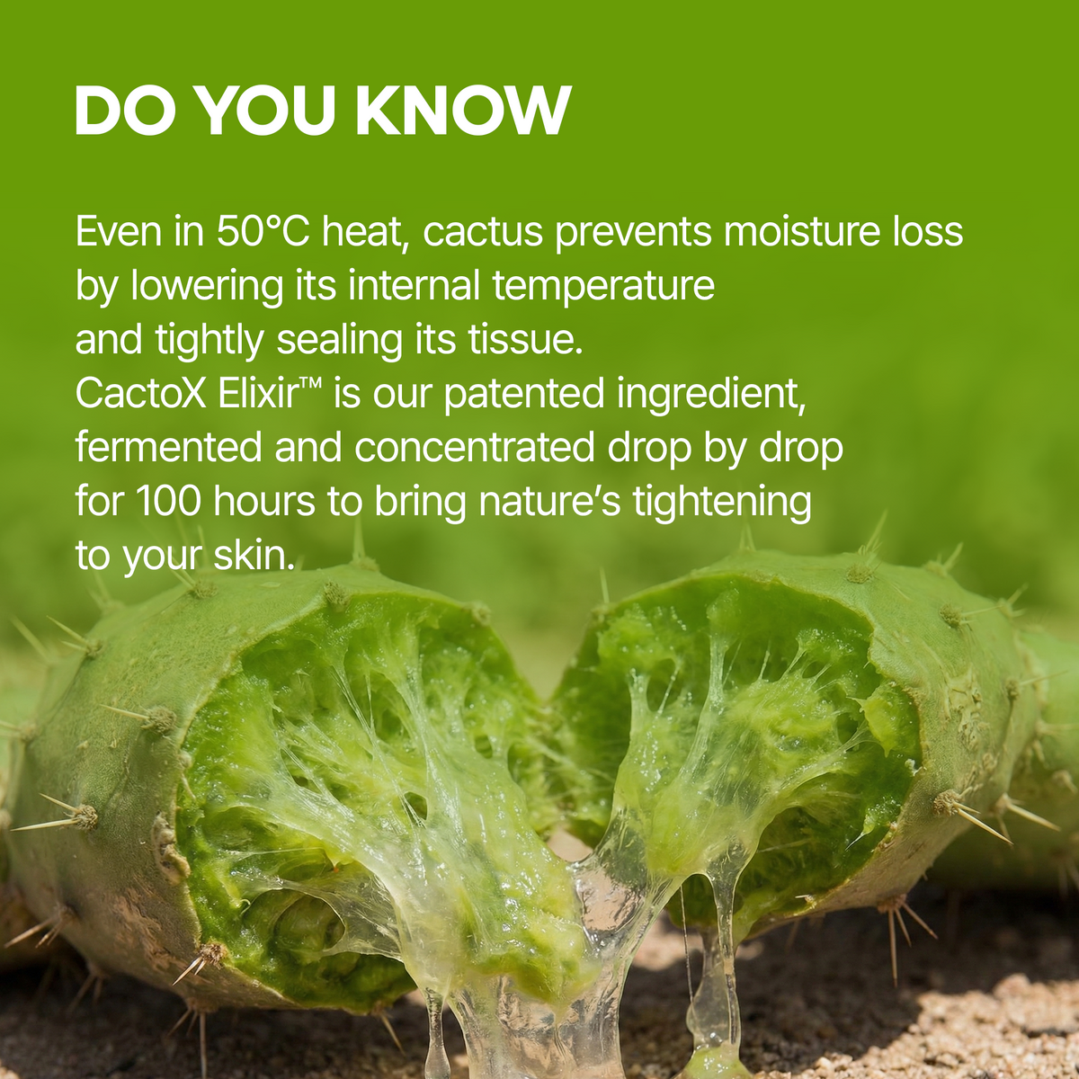 Cactox V-Lifting Mewing Band 4EA - image 4
